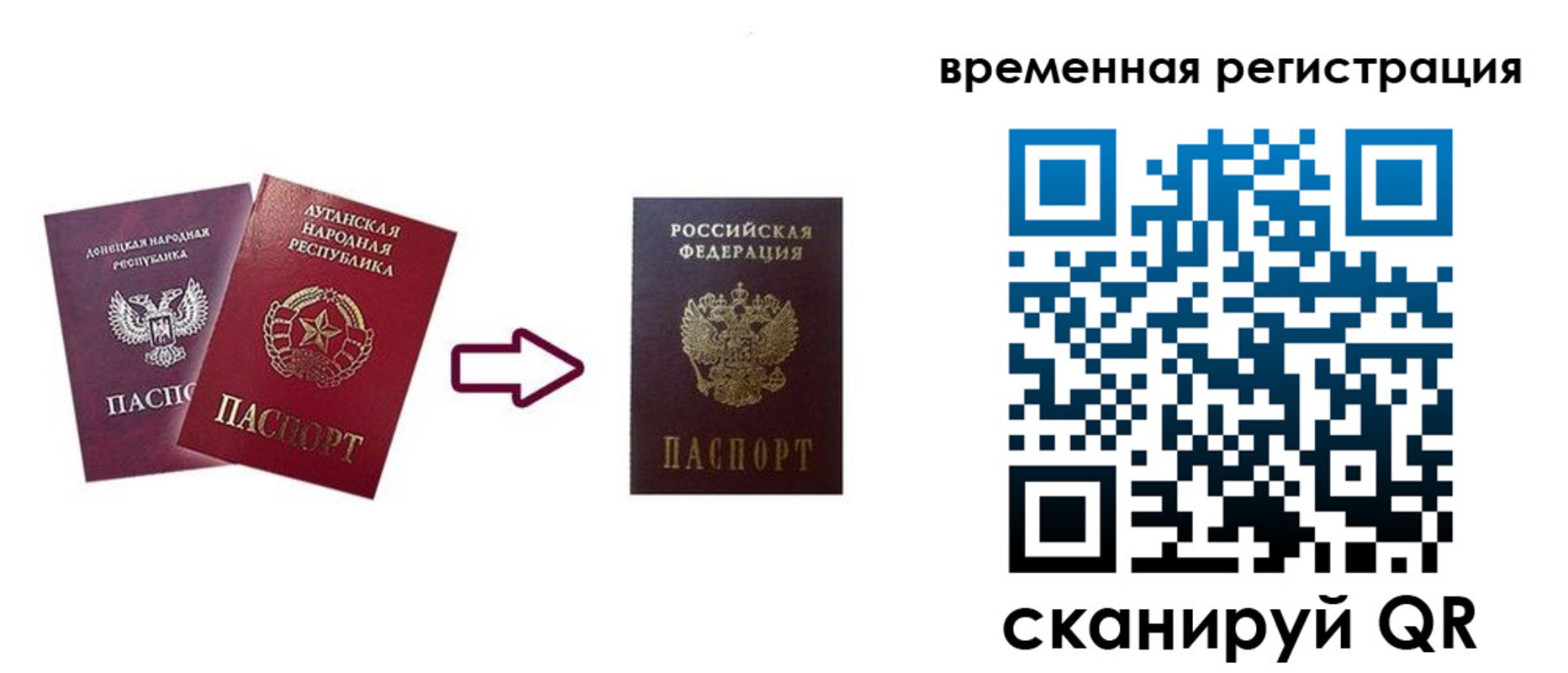 где прописаться в Звенигово