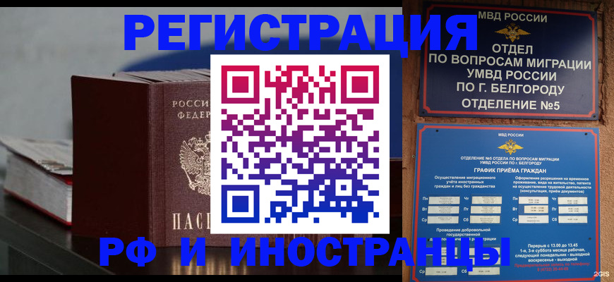 прописка 2025 в Звенигово